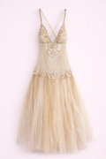 THE FAIRY DRESS
